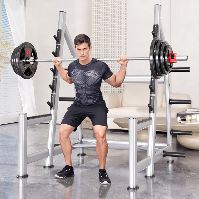 Squat Rack Power Cage, Plate L - Heavy Equipment Lift review and price