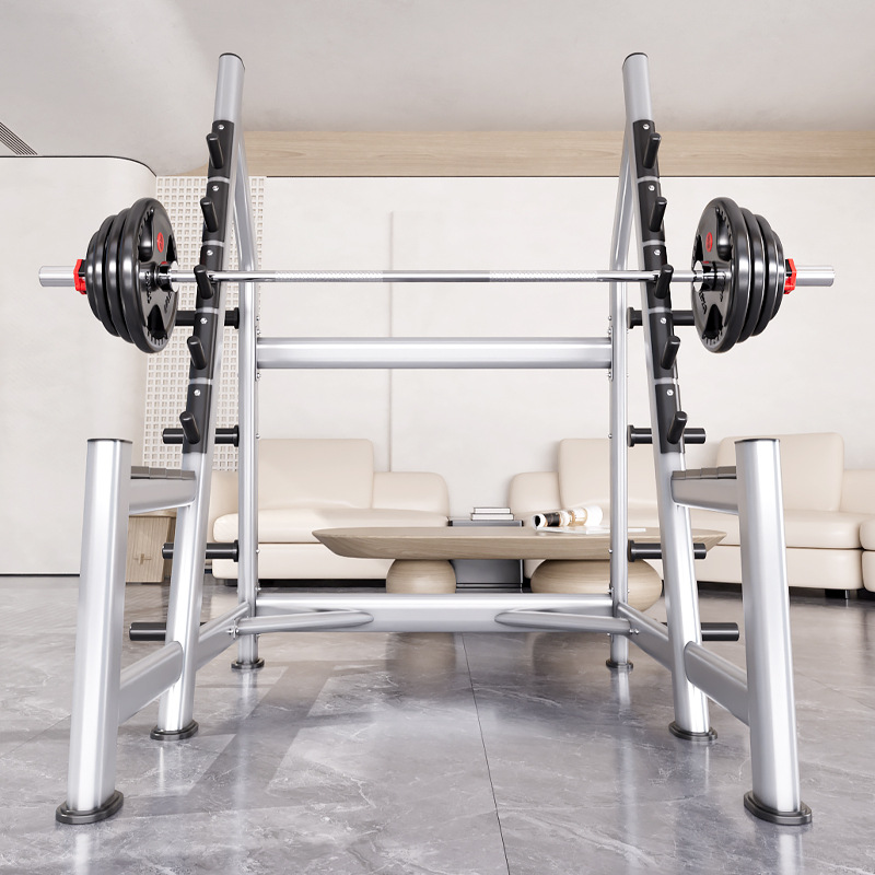 Squat Rack Power Cage, Plate L - Heavy Equipment Lift review and price